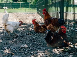 Der Unterschied zwischen Fachpflegestelle und Pflegefamilie