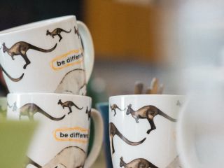 5 Gründe warum du mit outback arbeiten solltest